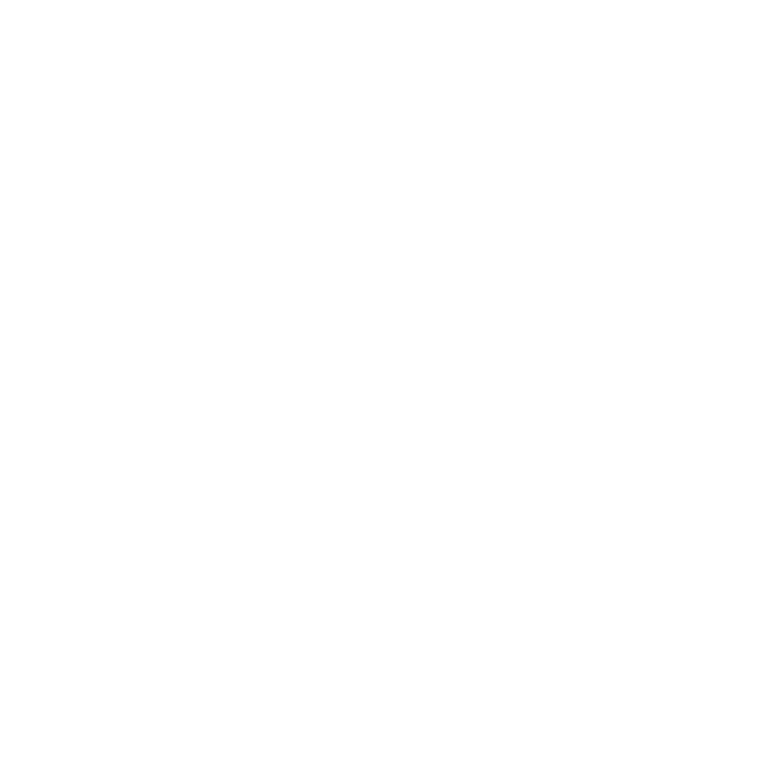 Mountain Echos Logo weiß
